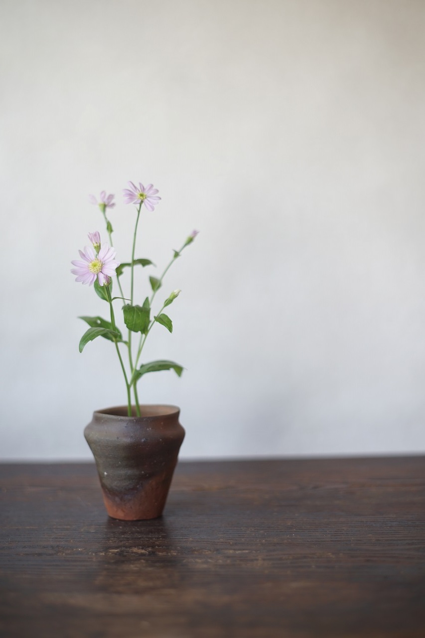 備前小壺　Yoshiteru Takariki　－都忘れ－