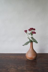 備前細口花入　Takahiro Hosokawa　－鋸草－