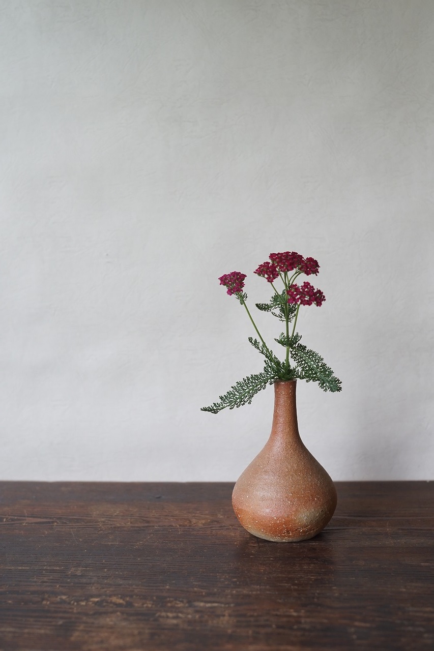 備前細口花入　Takahiro Hosokawa　－鋸草－