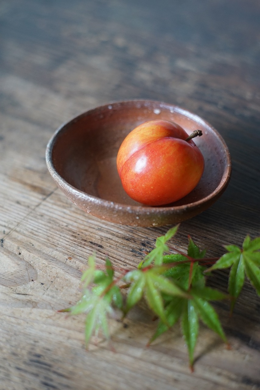 備前楕円小鉢　Takahiro Hosokawa　－すもも－