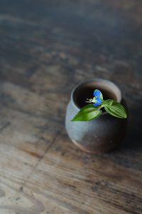 備前小壺　Yoshiteru Takariki　－斑入り露草－