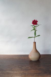 備前細口花入　Takahiro Hosokawa　－百日草－