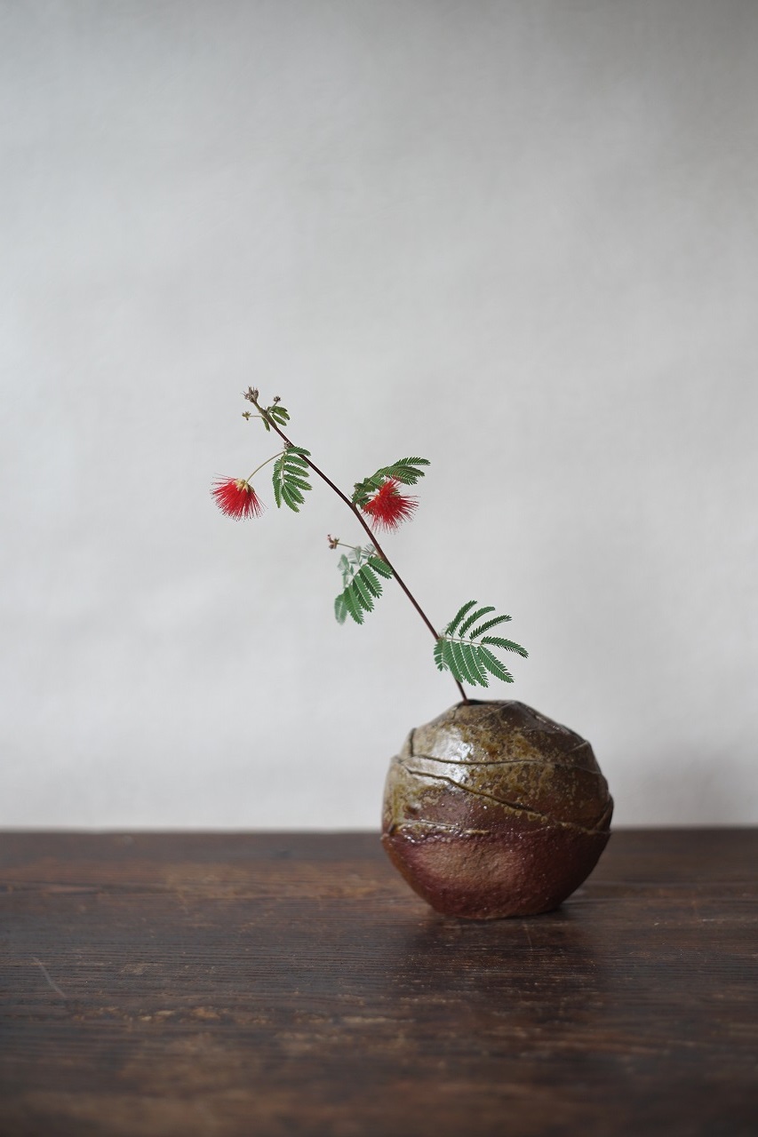 備前花入　Takuma Watanabe　－緋合歓－