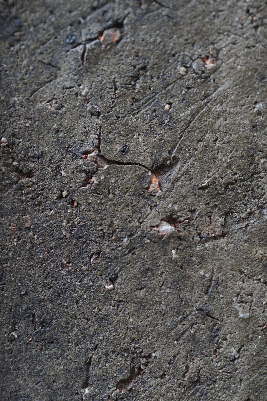 伊部の工房へ、ネット個展開催が決定いたしました‼