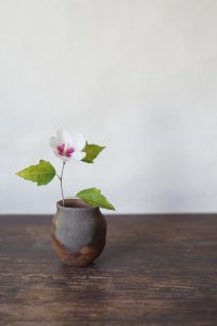 備前小壷　Yoshiteru Takariki　－宗旦木槿－