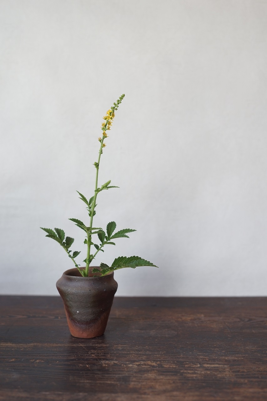 備前小壷　Yoshiteru Takariki　－銀水引－