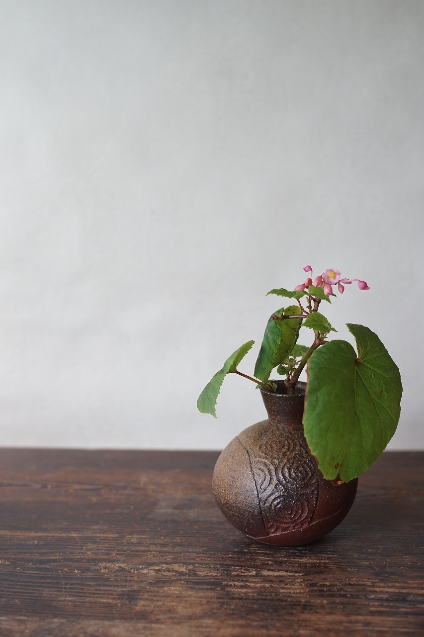 備前花入　Takuma Watanabe　－秋海棠－