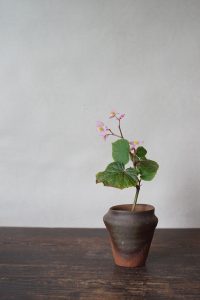 備前小壷　Yoshiteru Takariki　－秋海棠－