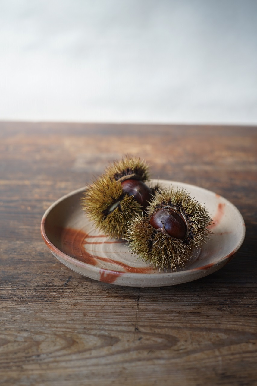 備前火襷皿　Yoshiteru Takariki　－栗－