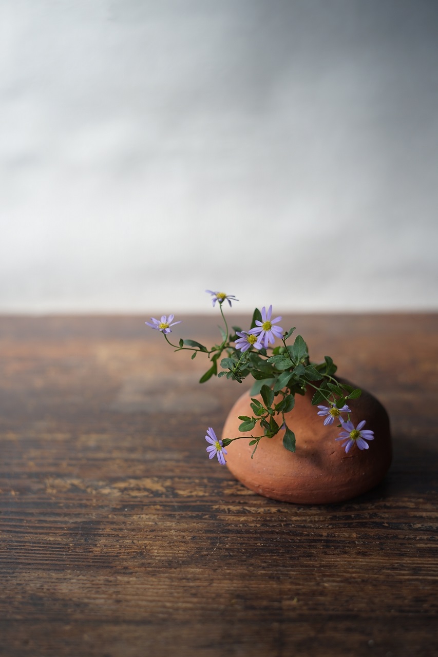 備前平花入　Takahiro Hosokawa　－嫁菜－