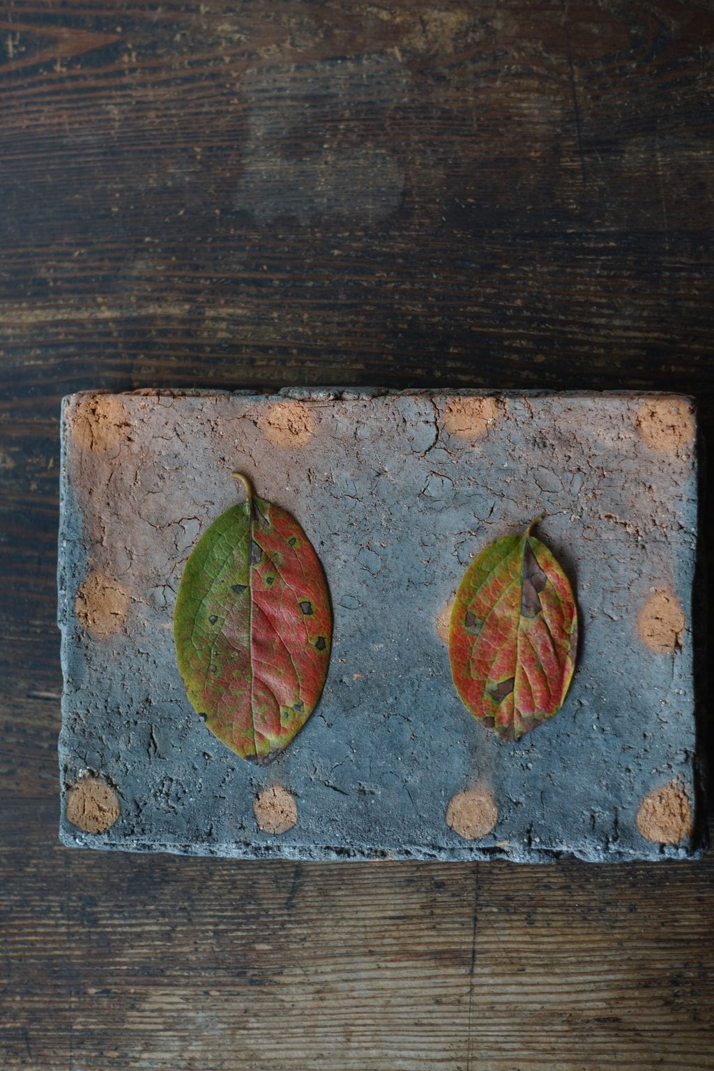 備前長方皿　Takahiro Hosokawa　－柿の葉－