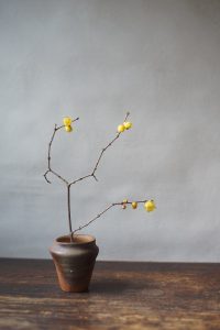 備前小壷　Yoshiteru Takariki　ー蝋梅ー