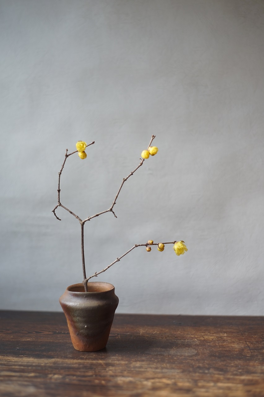 備前小壷　Yoshiteru Takariki　ー蝋梅ー