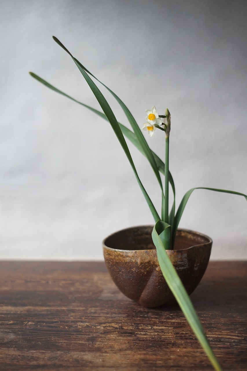 備前花器　Takuma Watanabe　－水仙－