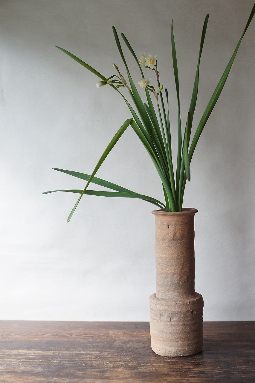 備前しらふ砧花入　Takahiro Hosokawa　－八重咲水仙－