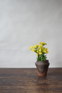備前小壷　Yoshiteru Takariki　－菜の花－
