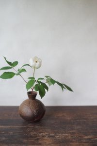 備前花入　Takuma Watanabe　－山芍薬－