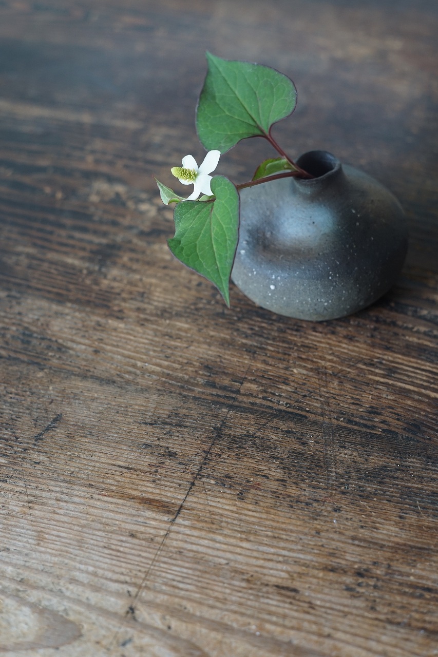 備前平花入　Takahiro Hosokawa　－蕺草－