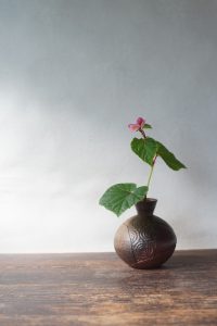 備前花入　Takuma Watanabe　－秋海棠－