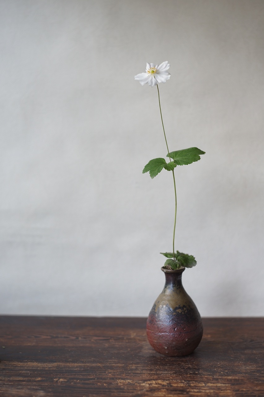 伊部一輪花入　GousukeYashiro　－秋明菊－