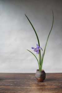 備前小壷　Yoshiteru Takariki　－寒あやめ－