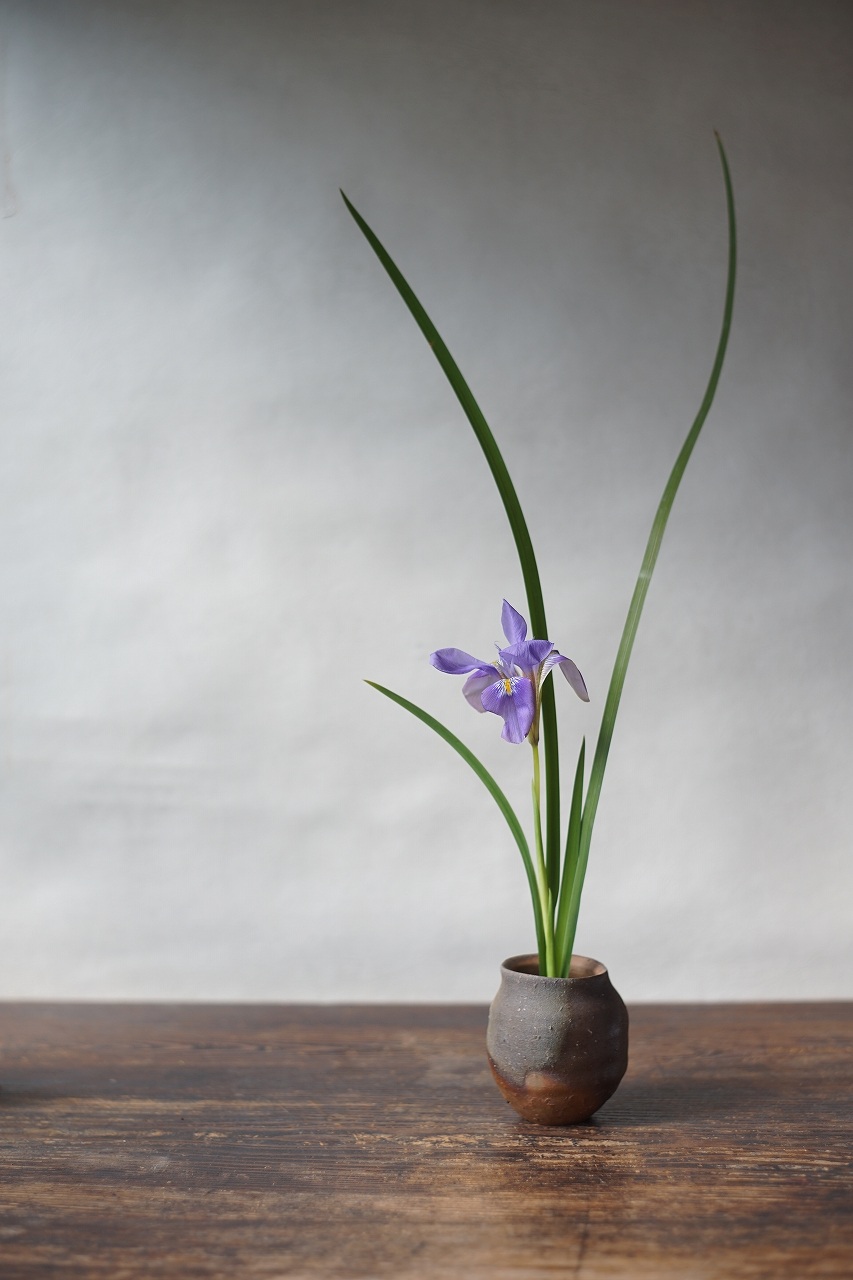 備前小壷　Yoshiteru Takariki　－寒あやめ－