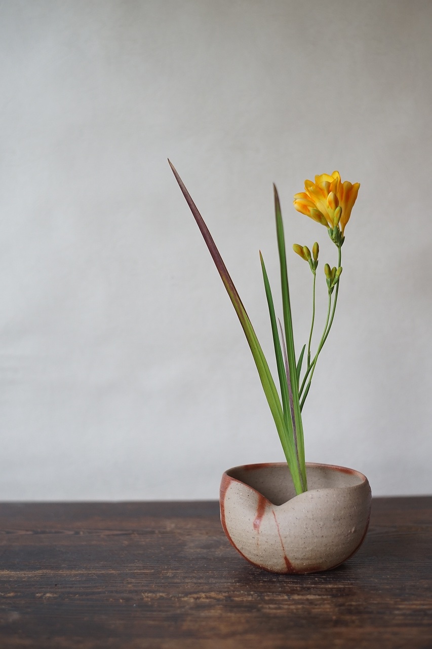 備前火襷灰落とし　Yoshiteru Takariki　－フリージア－