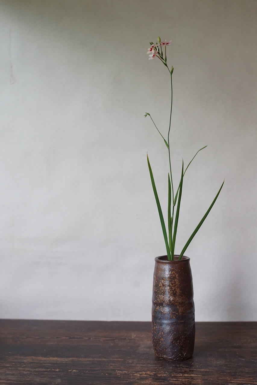 備前筒花入　Naoki Yokoyama　－姫檜扇－