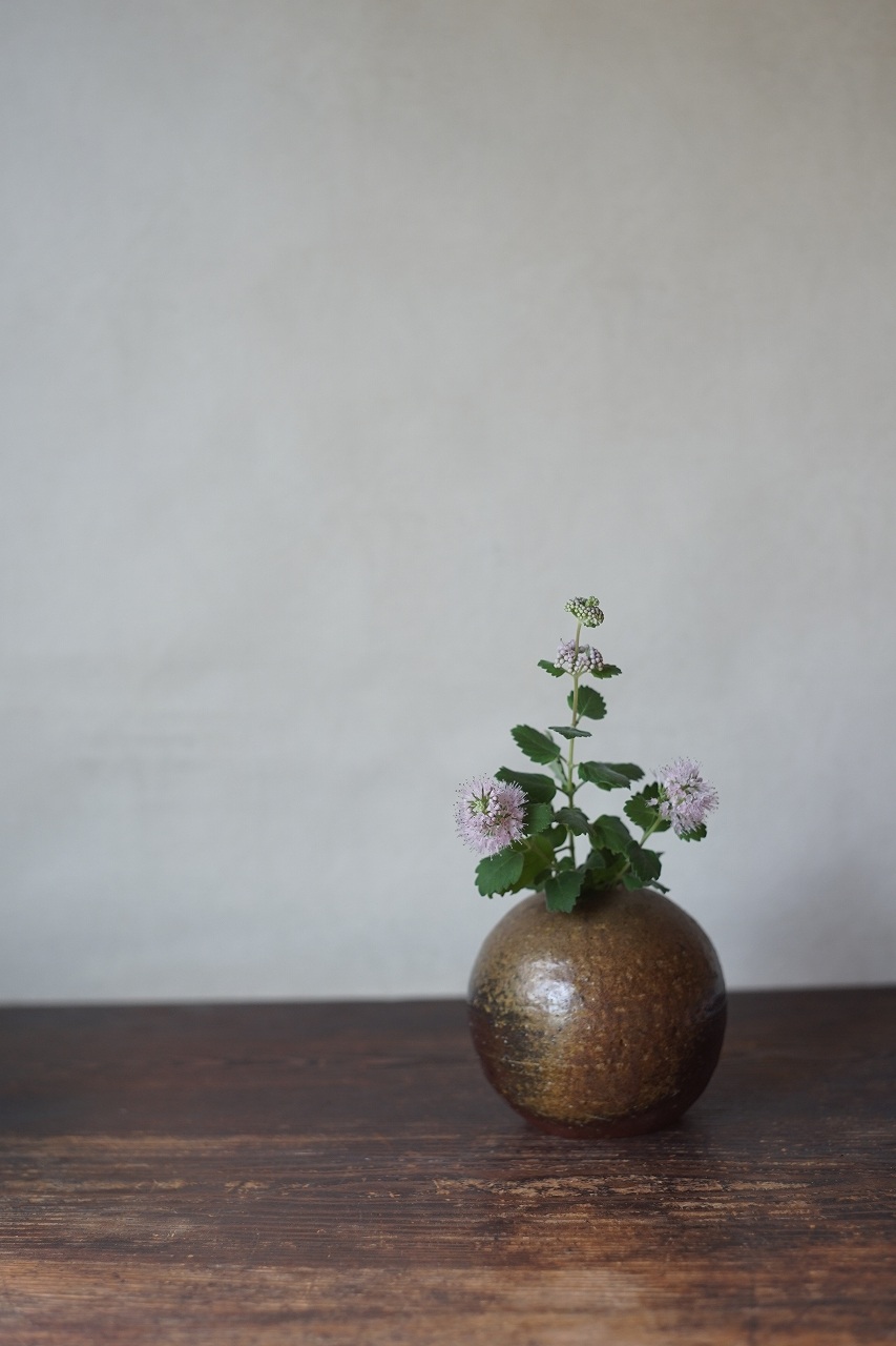 備前一輪挿し　高力芳照　－段菊－